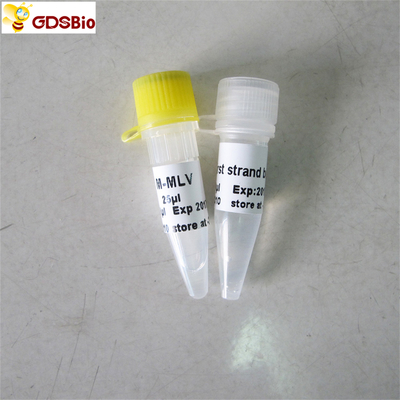 PCR van m-Mlv Omgekeerde Transcriptase Reagentiarechts PCR R1041/R1042