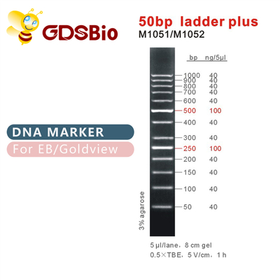 50bp ladder plus DNA-Teller M1051 (50μg) /M1052 (50μg×5)