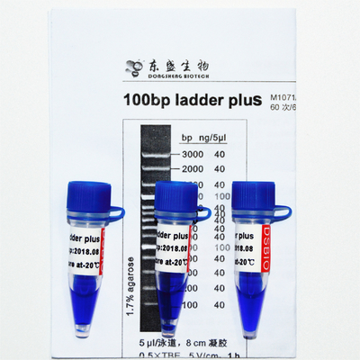 100bp ladder plus DNA-Teller M1071 (50μg) /M1072 (50μg×5)