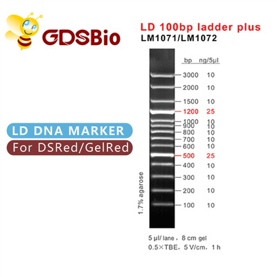60 de Ladder van Preps LD 100bp plus DNA-Tellerselektroforese
