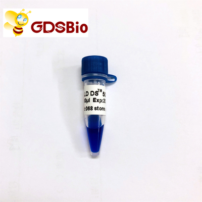 GDSBio LD DS 5000 DNA-de Blauwe Verschijning van de Tellerselektroforese