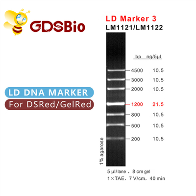 LD-Teller 3 DNA-Ladderelektroforese 60 de Hoge Zuiverheidsreagentia van Preps