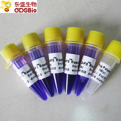 FS PCR de Hoofdmengelingspcr Kit For van het RNA Nucleic Zuur van DNA Opsporing P3072 1ml×5