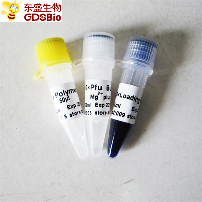 De Polymerase van Pfudna voor PCR P1021 P1022 P1023 P1024