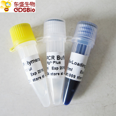 De Polymerasep1011 500U PCR van Taqdna Hoofdmengelings Blauwe Buffer