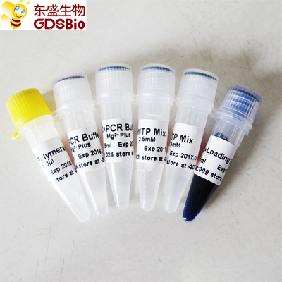 Hoge GDSBio - de Polymerase P1014 1000U van DNA van kwaliteitstaq