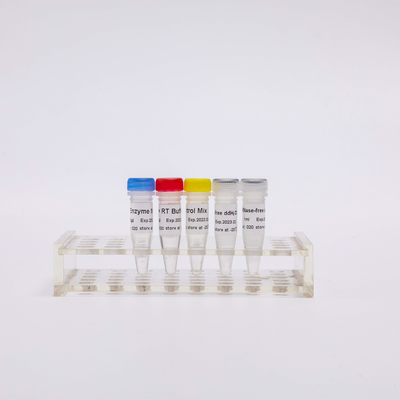 Rechts-PCR de Mengeling voor QPCR mengde Omgekeerde Transcriptase-PCR Reagentia R1031 vooraf