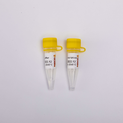 Gouden Rechts-PCR Omgekeerde Transcriptase R3001 2000U R3002 10000U