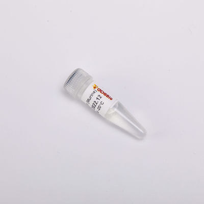 De kleurloze Inhibitor Rattenr4001 20000U van Verschijningsrn-ase