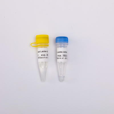 Enzym Moleculaire Biologie R5001 van de hitte Labiele het Antiverontreiniging UDG