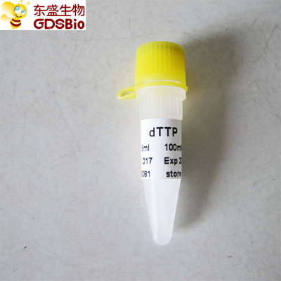 dTTP #P9081 1 ml PCR qPCR