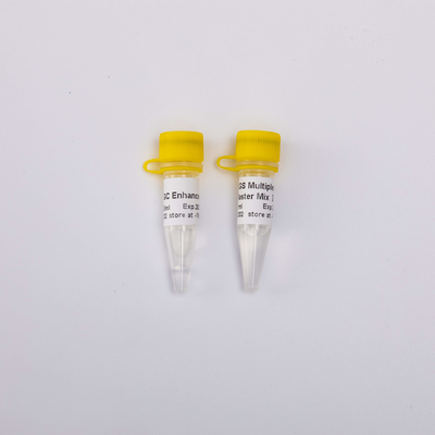 1ml 2X NGS seinen PCR Hoofdmengeling 40 Reacties GDSBio simultaan over