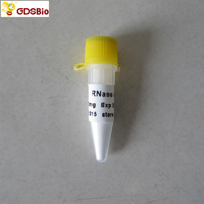 N9046 100 van Kenmerkende Productenmg RN-ase In vitro een Poeder