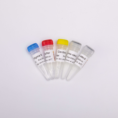 Rechts-PCR Mengeling voor Omgekeerde Transcriptase-PCR Reagentia R1031 100 Rxns