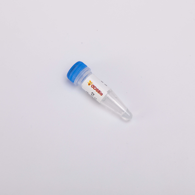 Hitte Labiele Hoofdmengeling voor PCR UDG hoogst Efficiënt Antiverontreinigingsenzym In real time