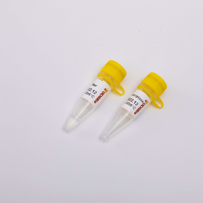 10000U gouden Omgekeerde Transcriptase-PCR R3002 Kleurloze Verschijning