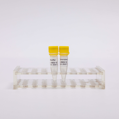 10000U gouden Omgekeerde Transcriptase-PCR R3002 Kleurloze Verschijning