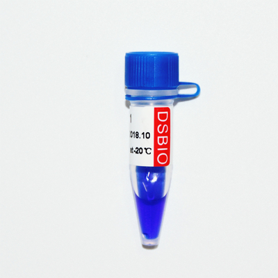 Teller 1 DNA-de Blauwe Verschijning van de Tellerselektroforese 400bp 50ug