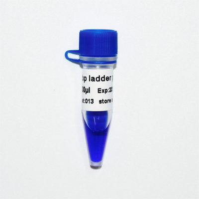 Blauwe de Ladderelektroforese 50ug van Verschijnings50bp DNA