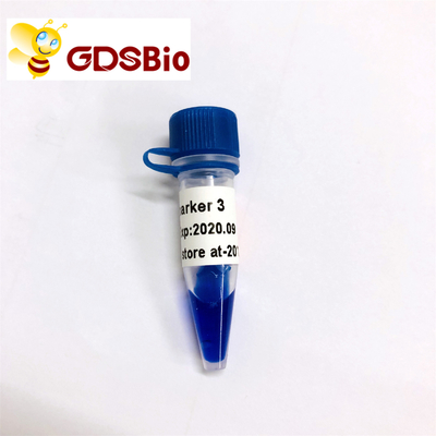 GDSBiold Teller 3 DNA-Tellerselektroforese 60 Preps