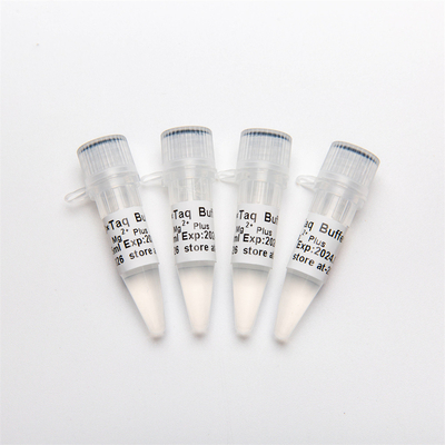 10× PCR Buffer met Mg2+-MgCl2 P5011 1.25ml×4