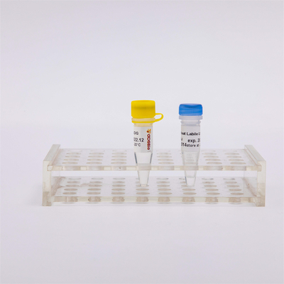 Enzym Moleculaire Biologie van de hitte Labiele het Antiverontreiniging UDG voor QPCR R5001 1 U/μL