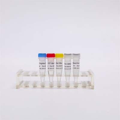 Van de de Bundelcdna Synthese van R1031gdsbio de Eerste Mengeling van rechts-PCR voor QPCR Vooraf gemengde PCR van RNA Omgekeerde Transcriptase Reagentia