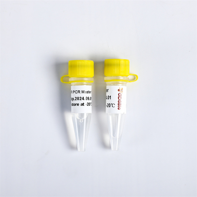 DNA-Polymerase Super HIFIpcr Hoofdmengelingsp2111 P2112 P2113 Ultrahifi