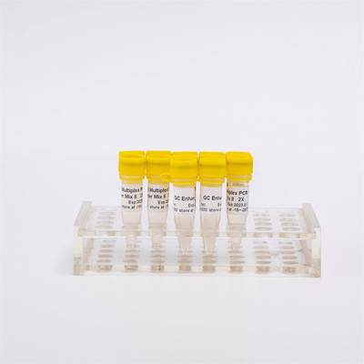 NGS seinen 100X-PCR van de Versterkingstrouw Hoofdmengeling 400 Kleurloze Reacties simultaan over