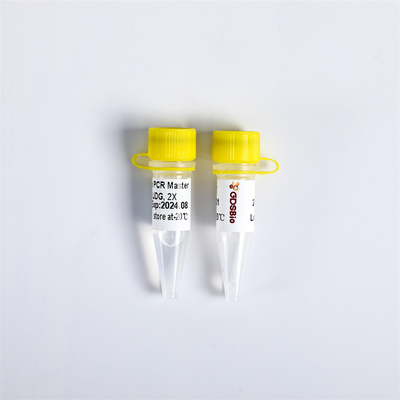 Kleurloze PCR Hoofdmengeling met UDG-GC Versterker PM2001 PM2002 PM2003