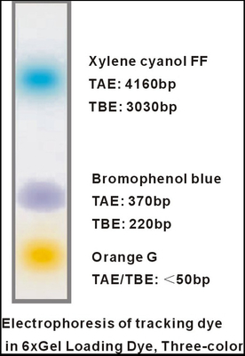 6× Kleurstof Drie van de de Elektroforesebuffer van Kleurendna het EDTA 1mlx5 van de gellading