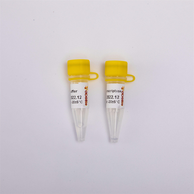 cDNA Rechts-PCR Gouden Omgekeerde Transcriptase R3001 2000U R3002 10000U