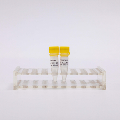 cDNA Rechts-PCR Gouden Omgekeerde Transcriptase R3001 2000U R3002 10000U